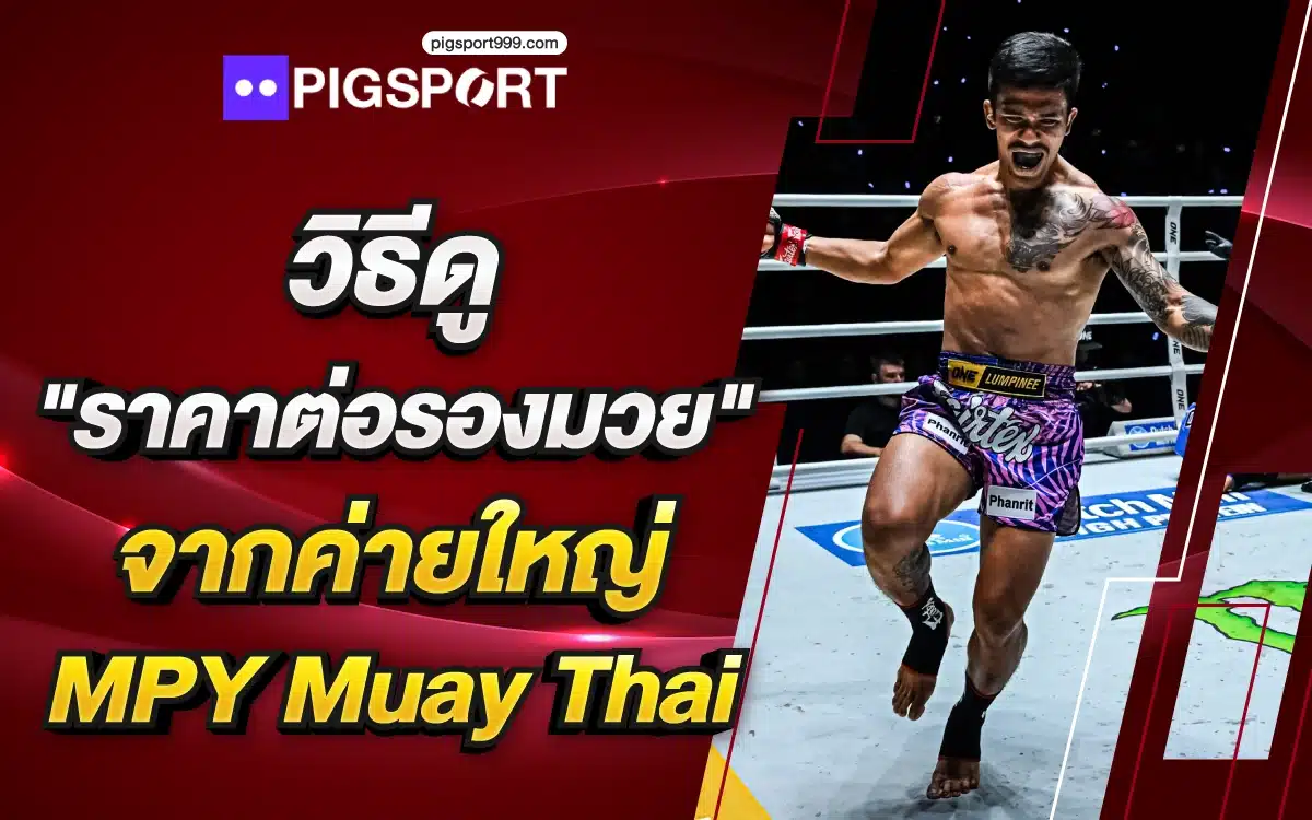 วิธีดู "ราคาต่อรองมวย" จากค่ายใหญ่ MPY Muay Thai