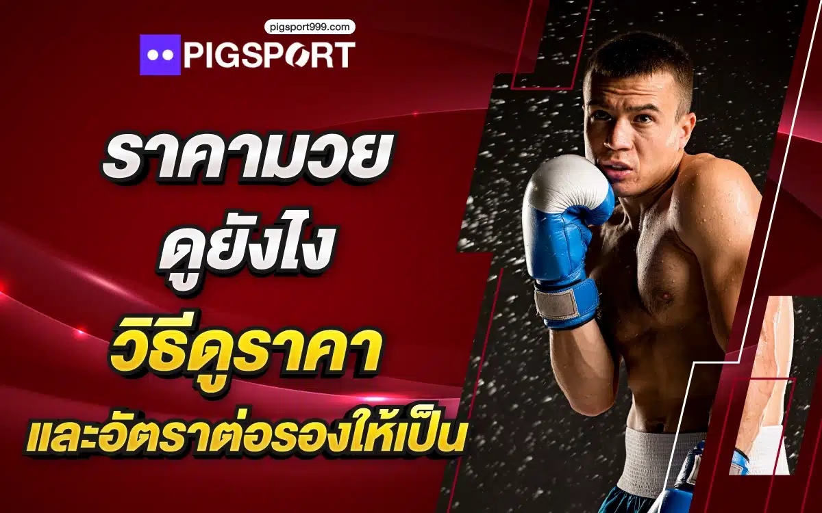 ราคามวย ดูยังไง วิธีดูราคาและอัตราต่อรองให้เป็น