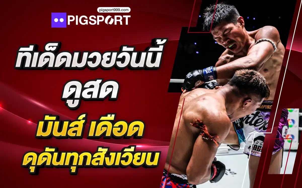 ทีเด็ดมวยวันนี้ ดูสด มันส์ เดือด ดุดันทุกสังเวียน