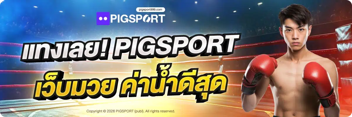แทงเลย! PIGSPORT เว็บมวย ค่าน้ำดีสุด